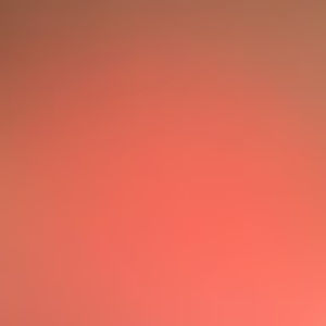 Meet your Posher, Tania